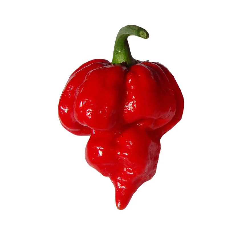 Pepper Seeds – Trinidad 