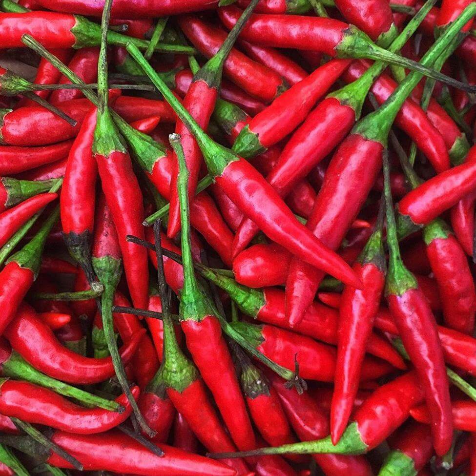  Pepper Seeds - Thai Sun