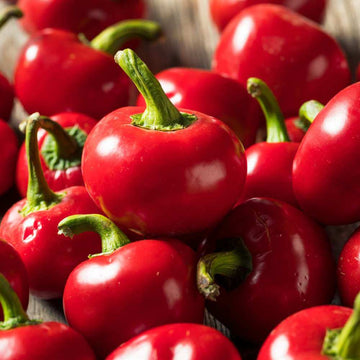 Pepper Seeds – Cherry Bomb 