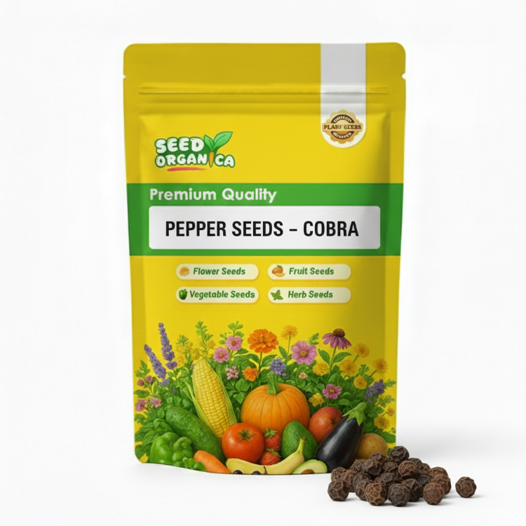 Pepper Seeds – Cobra