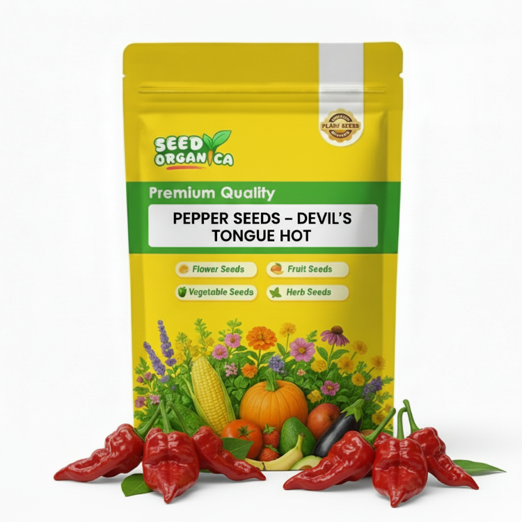 Pepper Seeds – Devil's Tongue Hot