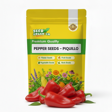 Pepper Seeds – Piquillo