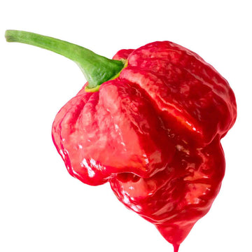 Pepper Seeds – Trinidad 