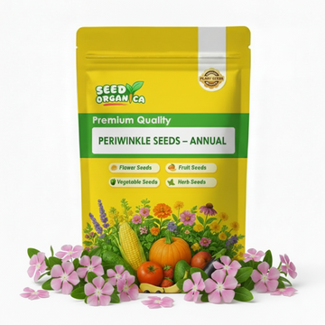 Periwinkle Seeds – Annual