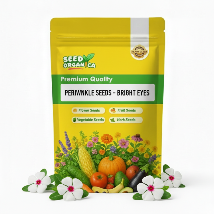 Periwinkle Seeds – Bright Eyes