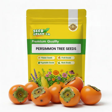 Persimmon Tree Seeds