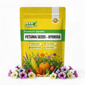 Petunia Seeds – Hybrida