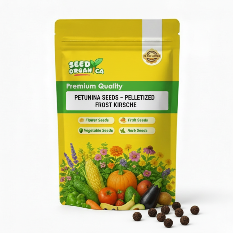 Petunia Seeds – Pelletized Frost Kirsche
