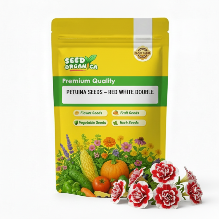 Petunia Seeds – Red White Double