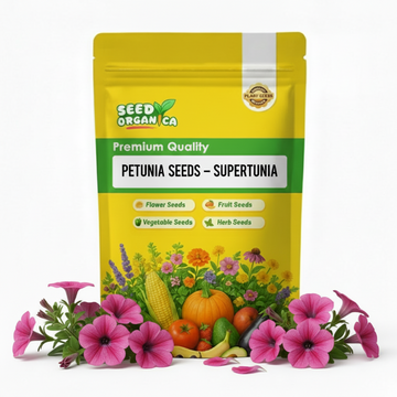 Petunia Seeds – Supertunia