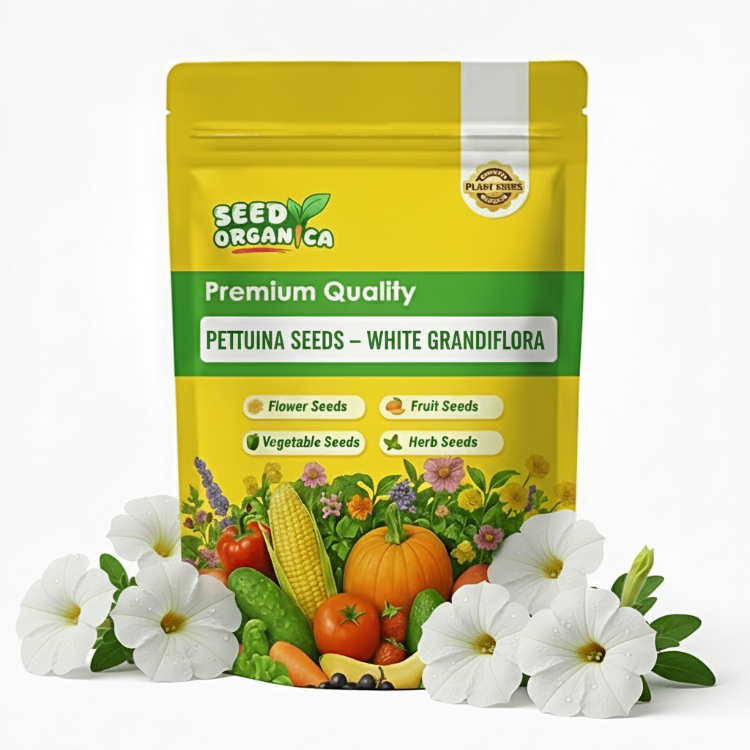 Petunia Seeds – White Grandiflora