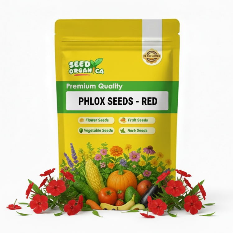 Phlox Seeds - Red