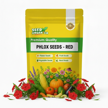 Phlox Seeds - Red