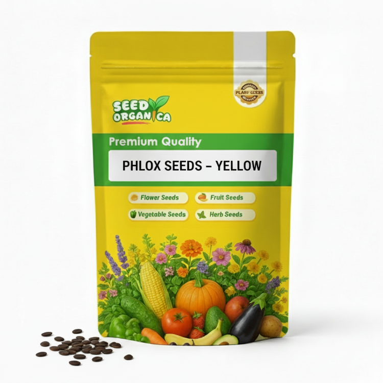 Phlox Seeds – Yellow
