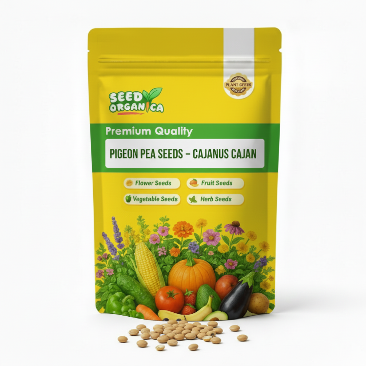 Pigeon Pea Seeds – Cajanus Cajan