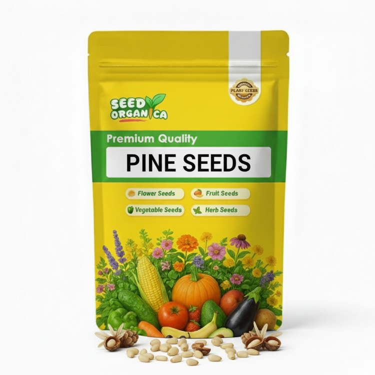 Pine Seeds