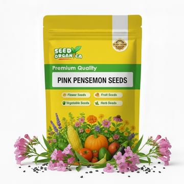 Pink Penstemon Seeds