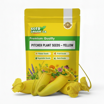 Pitcher Plant Seeds – Yellow