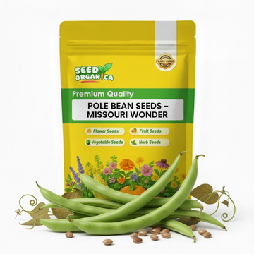 Pole Bean Seeds – Missouri Wonder