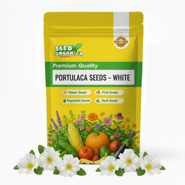 Portulaca Seeds – White