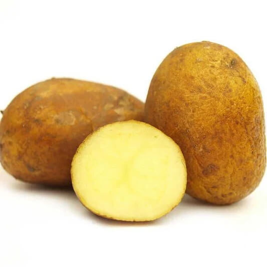 Potato Seeds