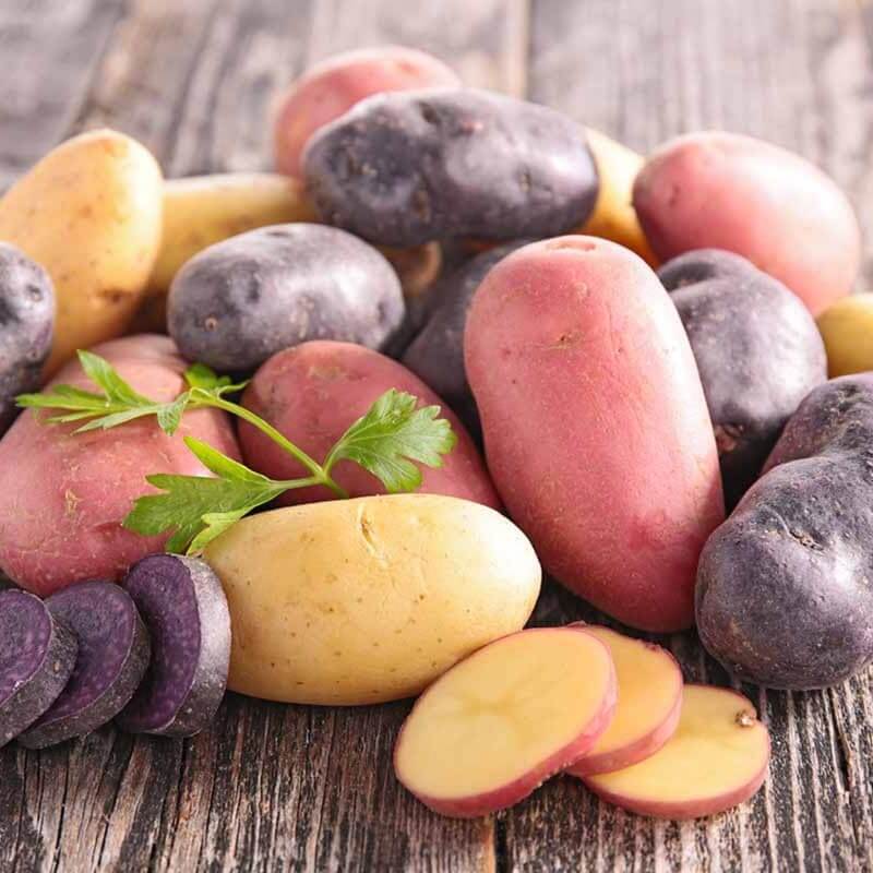 Potato Seeds - Mixed