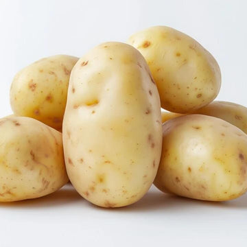 Potato Seeds – Cream
