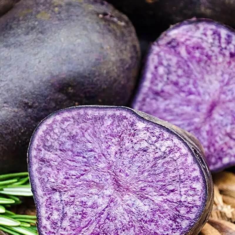 Potato Seeds – Purple