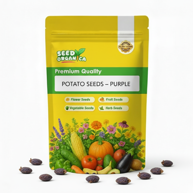 Potato Seeds – Purple