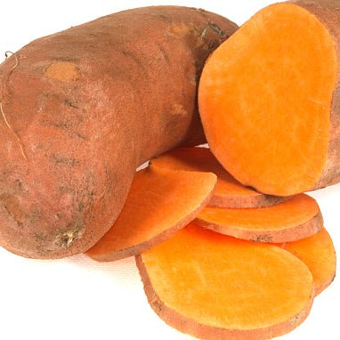 Potato Seeds – Yellow Batatas 