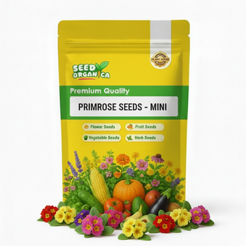 Primrose Seeds – Mini