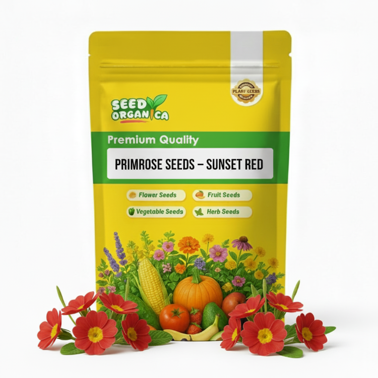Primrose Seeds – Sunset Red
