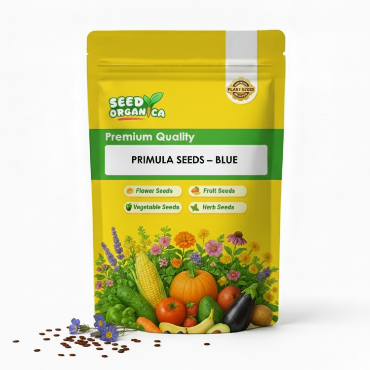 Primula Seeds – Blue