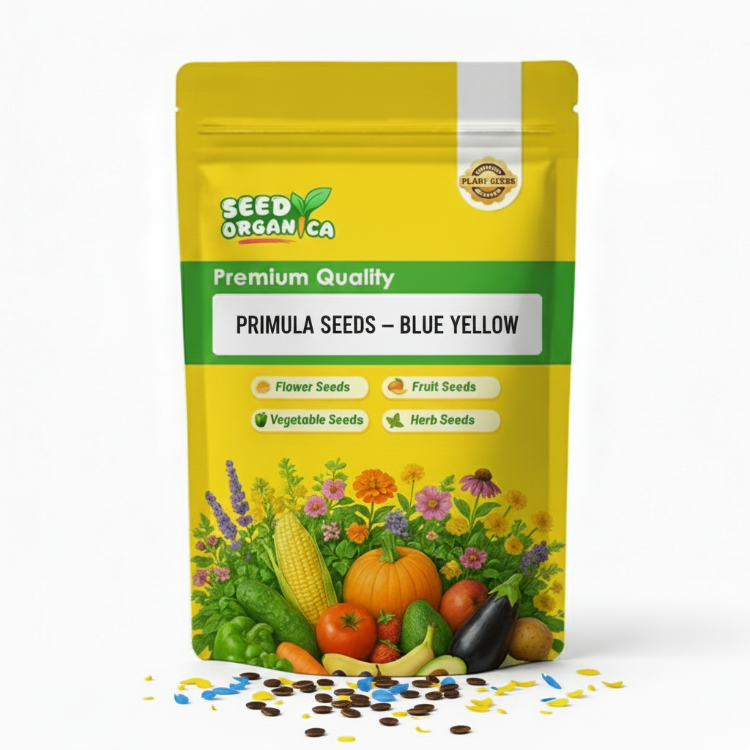 Primula Seeds – Blue Yellow