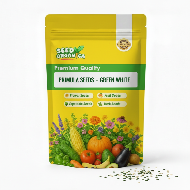 Primula Seeds – Green White