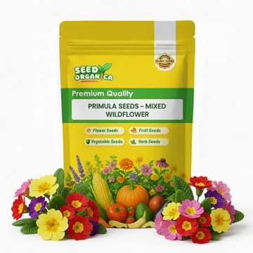 Primula Seeds – Mixed Wildflower