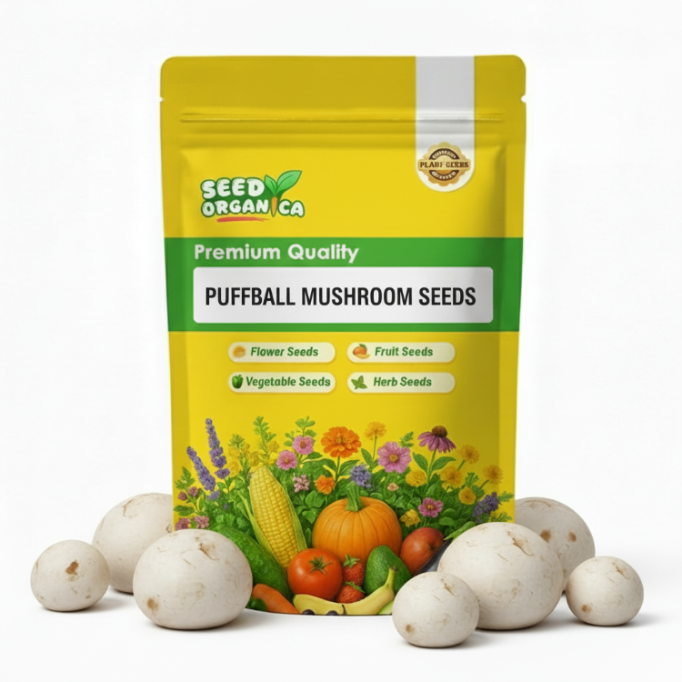 Puffball Mushroom Seeds