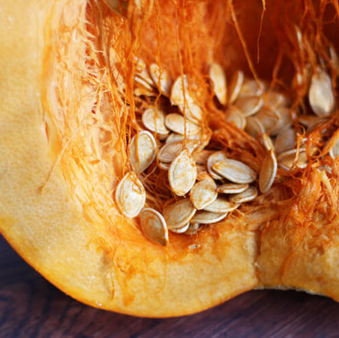 Pumpkin Seeds – Cucurbita Pepo