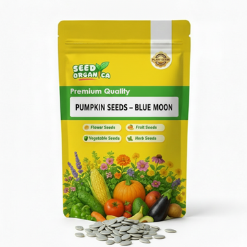 Pumpkin Seeds – Blue Moon