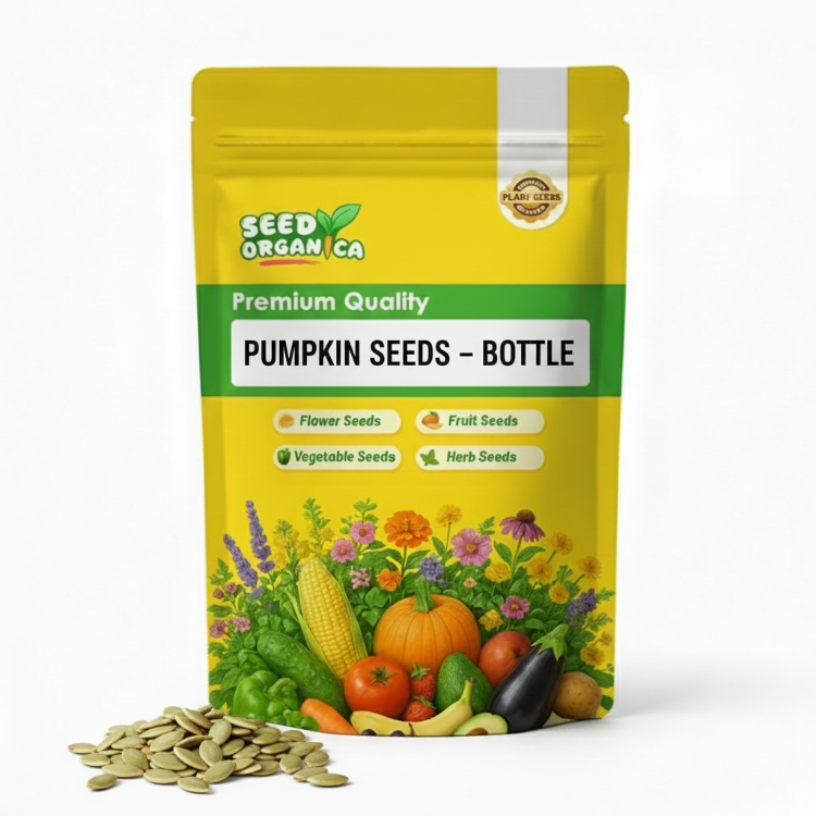 Pumpkin Seeds – Bottle
