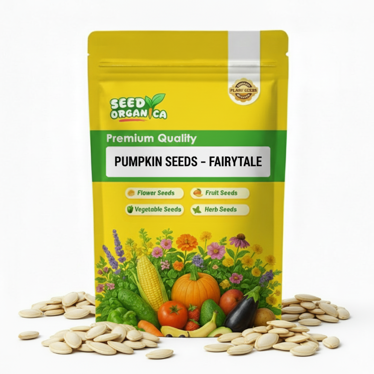 Pumpkin Seeds – Fairytale