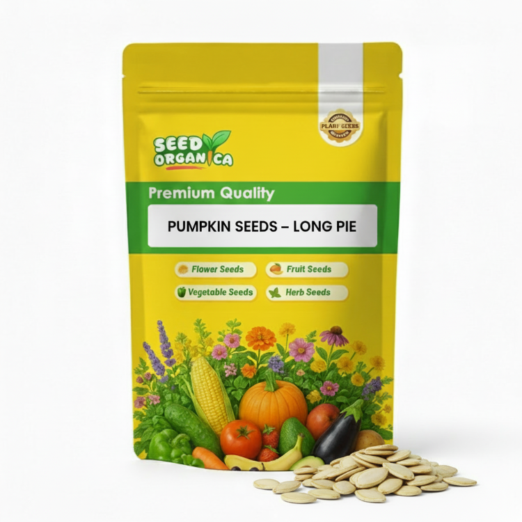 Pumpkin Seeds – Long Pie