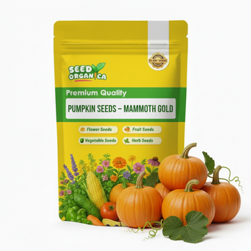 Pumpkin Seeds – Mammoth Gold