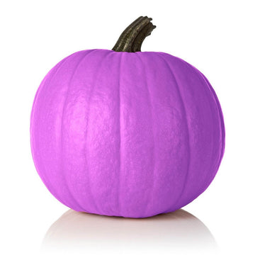 Pumpkin Seeds – Purple