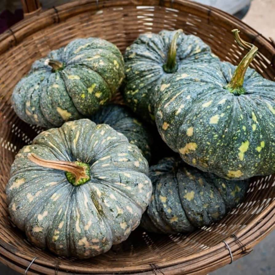 Pumpkin Seeds – Rican 