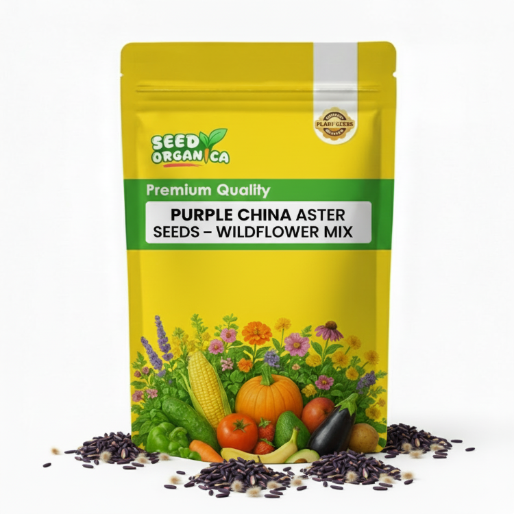 Purple China Aster Seeds – Wildflower Mix