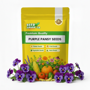 Purple Pansy Seeds