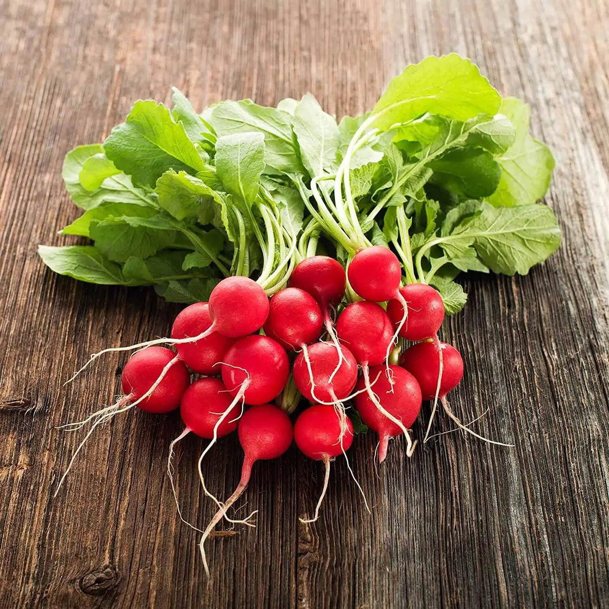 Radish Seeds – Cherry Belle