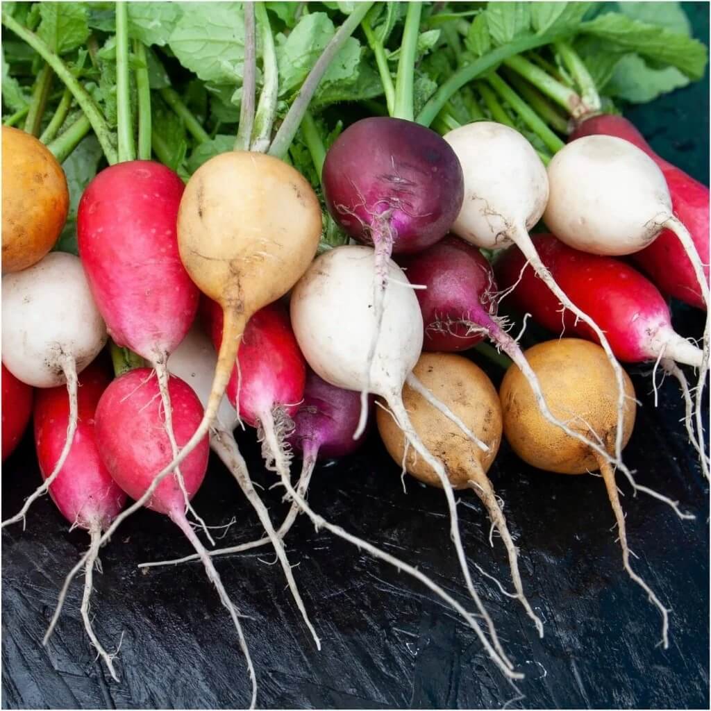 Radish Seeds – Easter Egg Mix