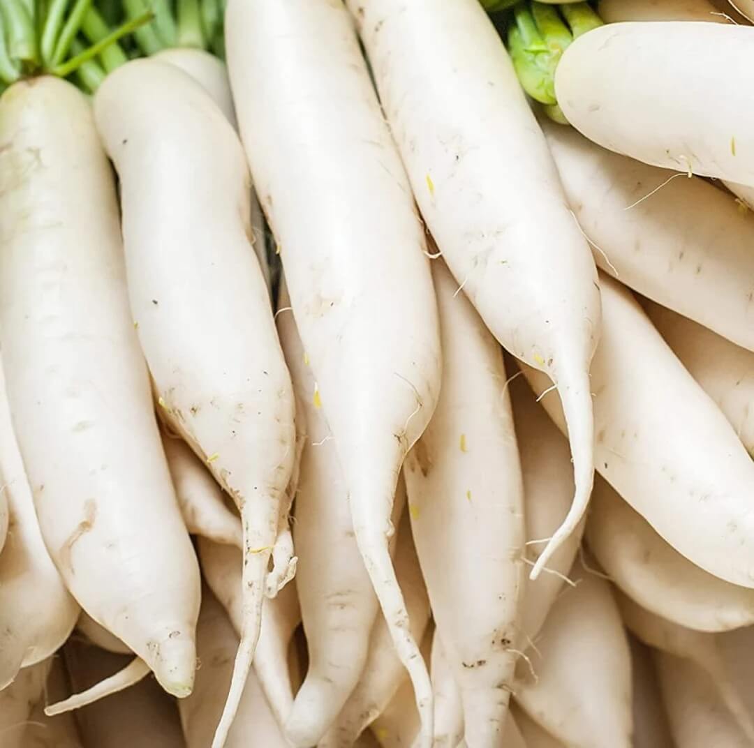 Radish Seeds – Japanese Minowase